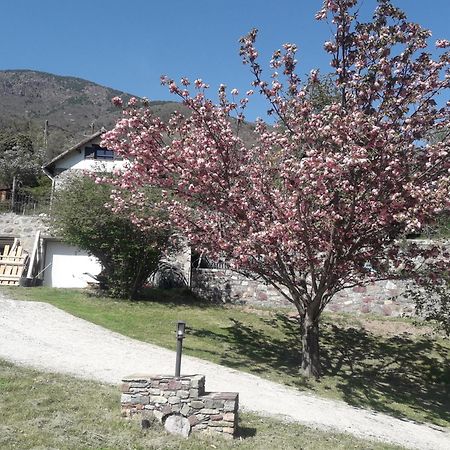 La Petite Chataigne Valdeblore Exterior foto