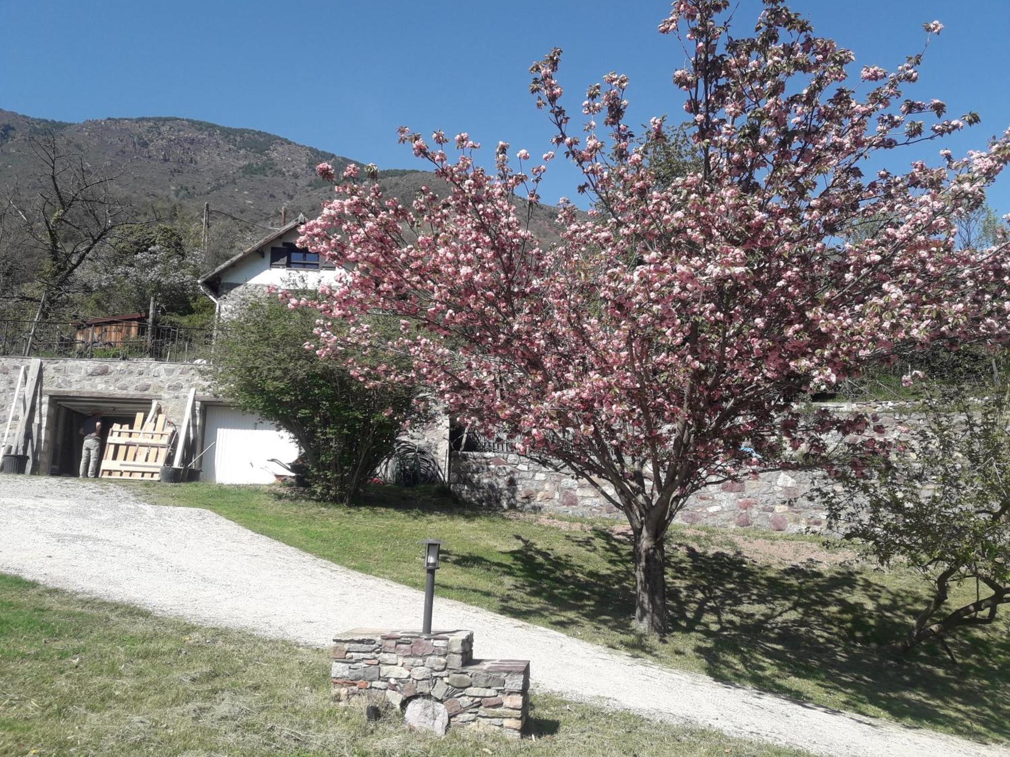 La Petite Chataigne Valdeblore Exterior foto